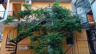 «Сокол»