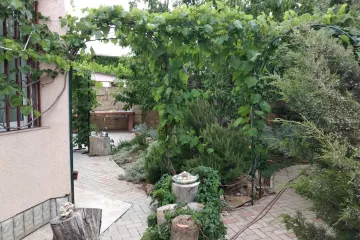 Солярис Уютное