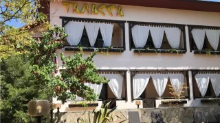 «Таласса»