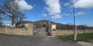 Царский курган в керчи фото 1