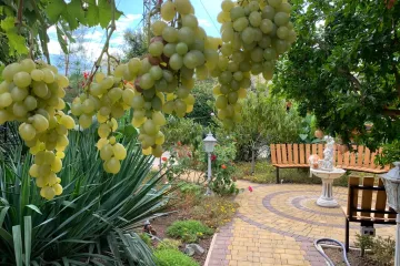 У Борисовны Оленевка