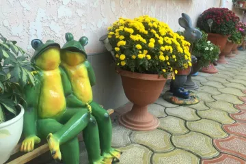 У Дмитрия Евпатория