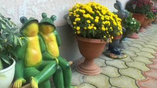 «У Дмитрия»