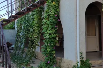 У Лены Громово