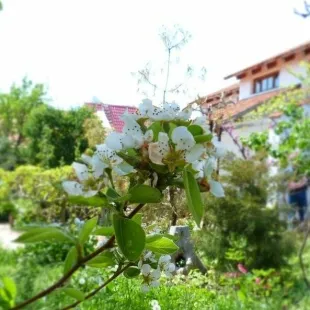Усадьба