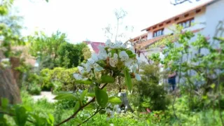 «Усадьба»