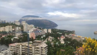 «Усадьба Инжир»