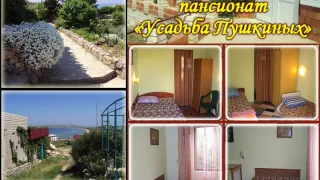 «Усадьба Пушкиных»