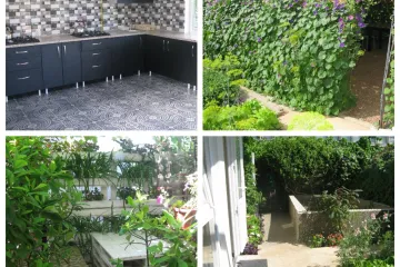 Уютный дворик Теплые деньки Николаевка