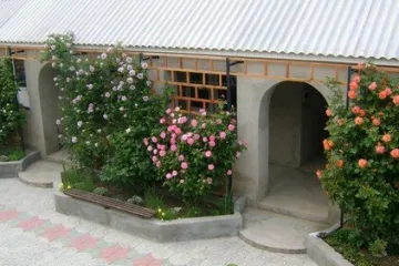 Веселый бумеранг Межводное