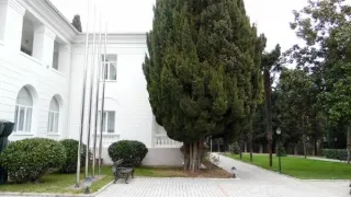 «Вилла Слава»