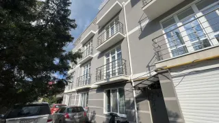 «Виноград»