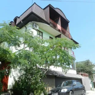 Виола