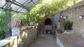 «Вита»