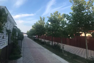 Витино Витино