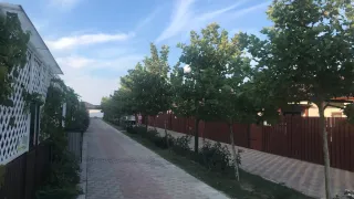 «Витино»
