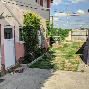 Витокс у моря