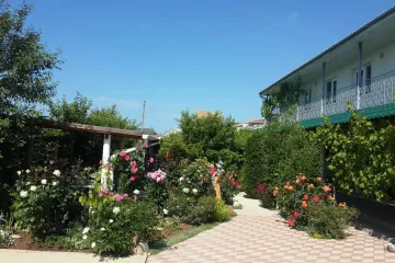 Viva Новофёдоровка