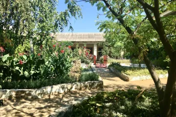 Яремушки Николаевка