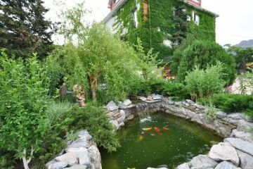 Ёлки Коктебель