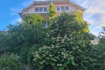 Южный Домик Алушта