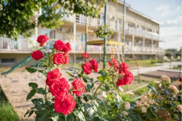 Заозёрный Уютное