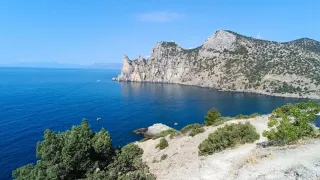 «Заповедная роща»