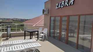 «Зебра»