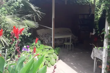 Зеленая дача Рыбачье