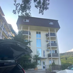 Злата