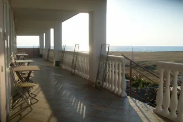 Золотой Слон Николаевка