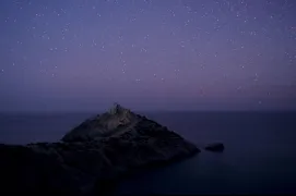 Звёздная ночь в можжевеловой роще Нового Света